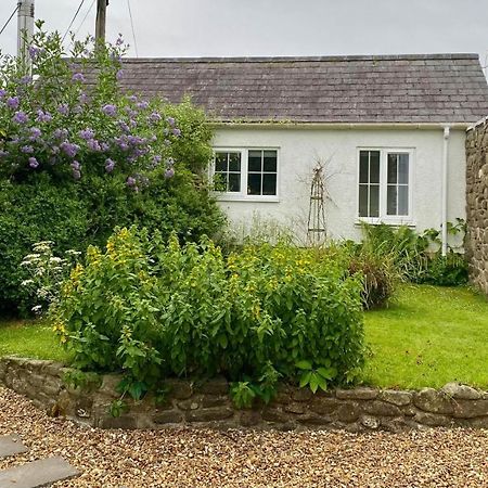 Daffodil House , West Wales Llandovery Εξωτερικό φωτογραφία