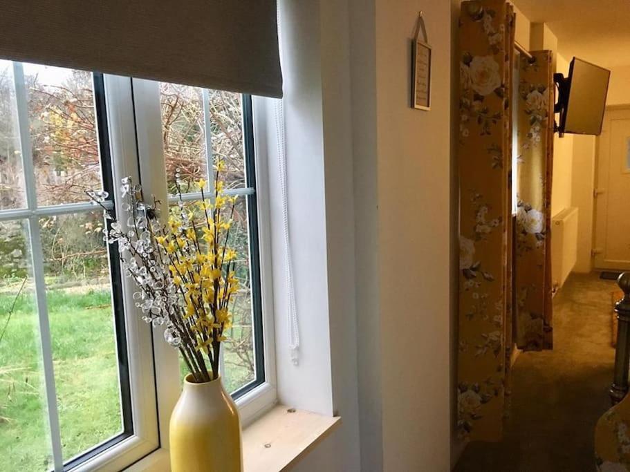 Daffodil House , West Wales Llandovery Εξωτερικό φωτογραφία